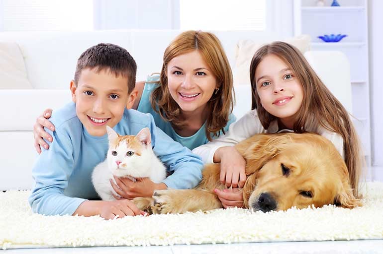 Photo of Best Carpet Cleaning Experts