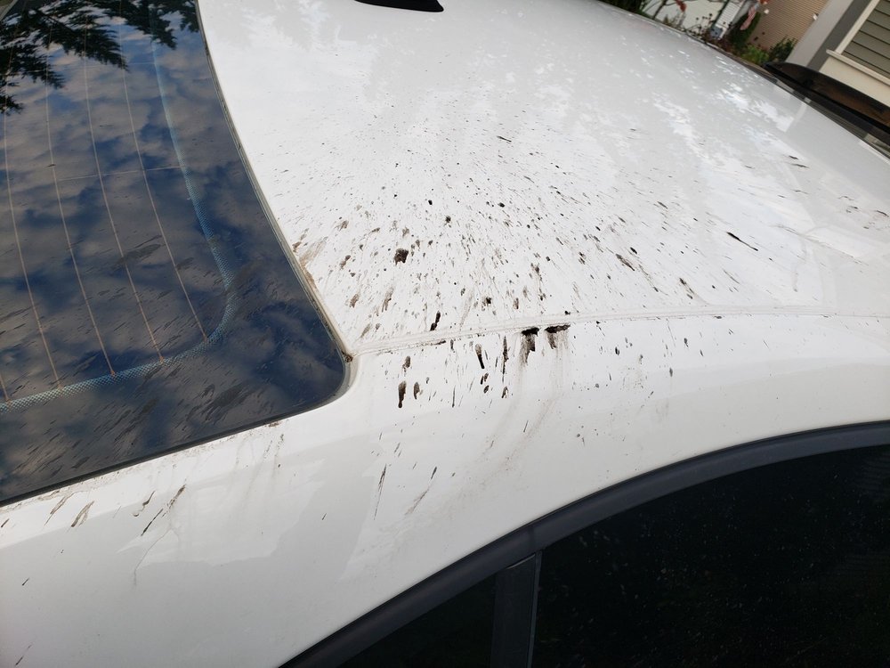 Photo of Elephant Car Wash