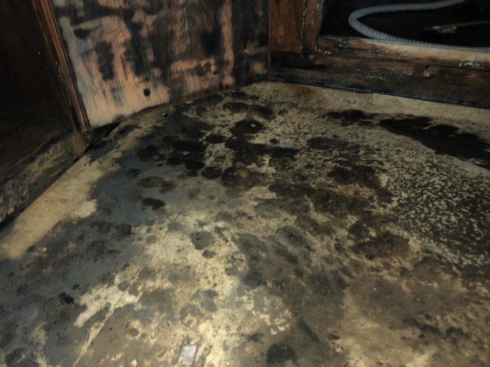 Photo of Restoration 1 of Central Maryland