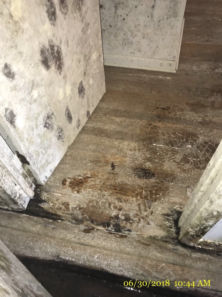 Photo of Restoration 1 of Central Maryland