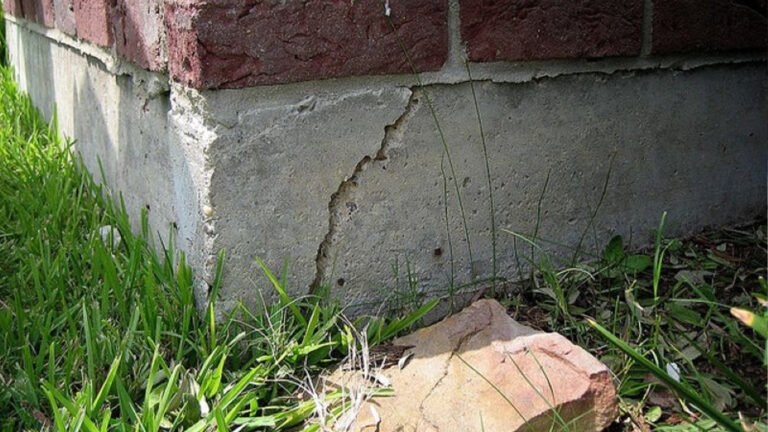 Photo of Bats Foundation Repair Of Manor