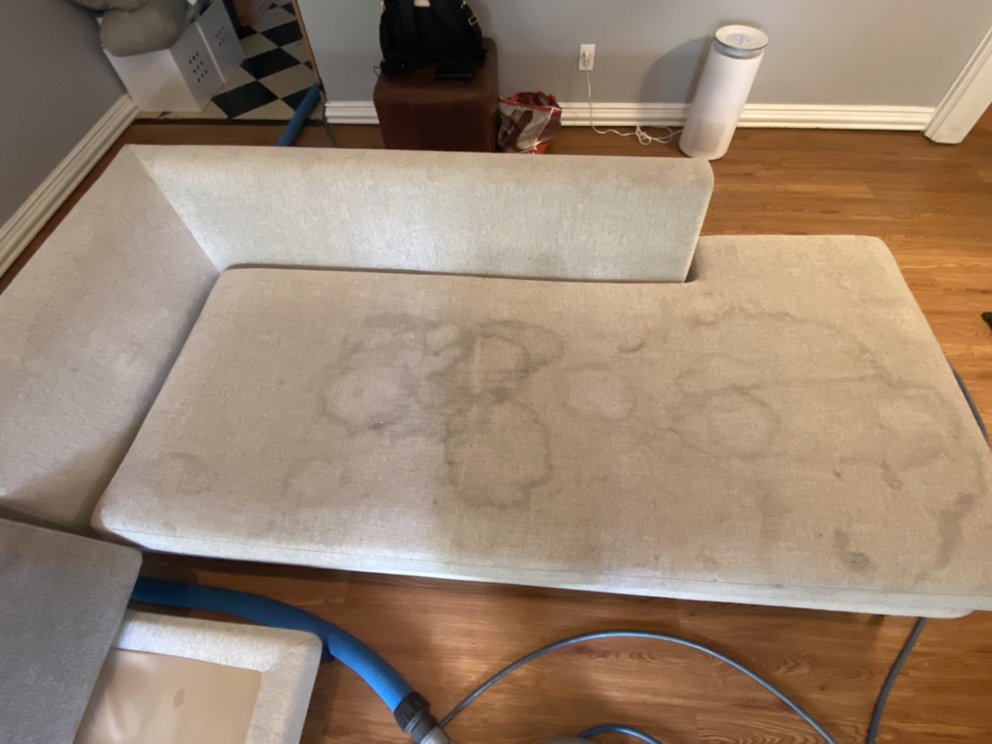 Photo of Full Steam Ahead Carpet Care