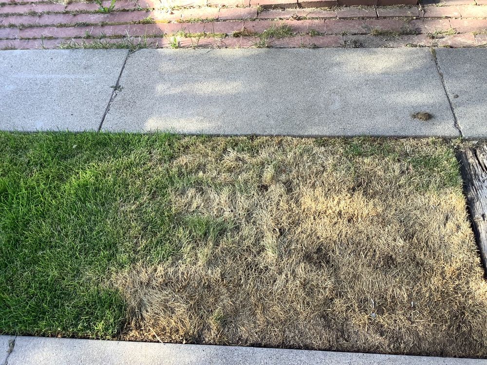 Photo of Bushman Landscaping