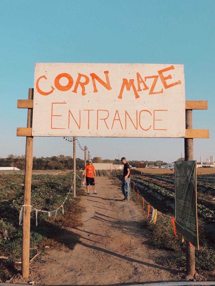 Photo of Fun Farm Pumpkin Patch