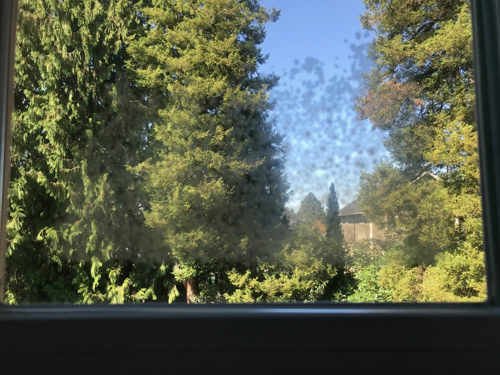 Photo of Milgard Windows & Doors