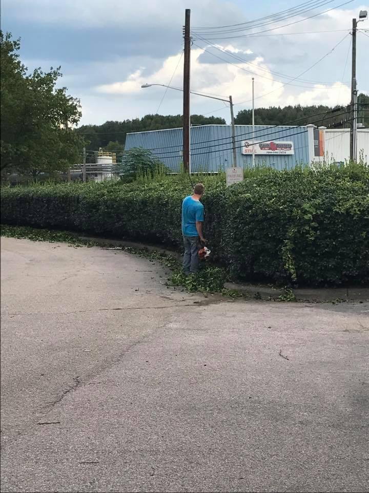 Photo of All American Lawn Service