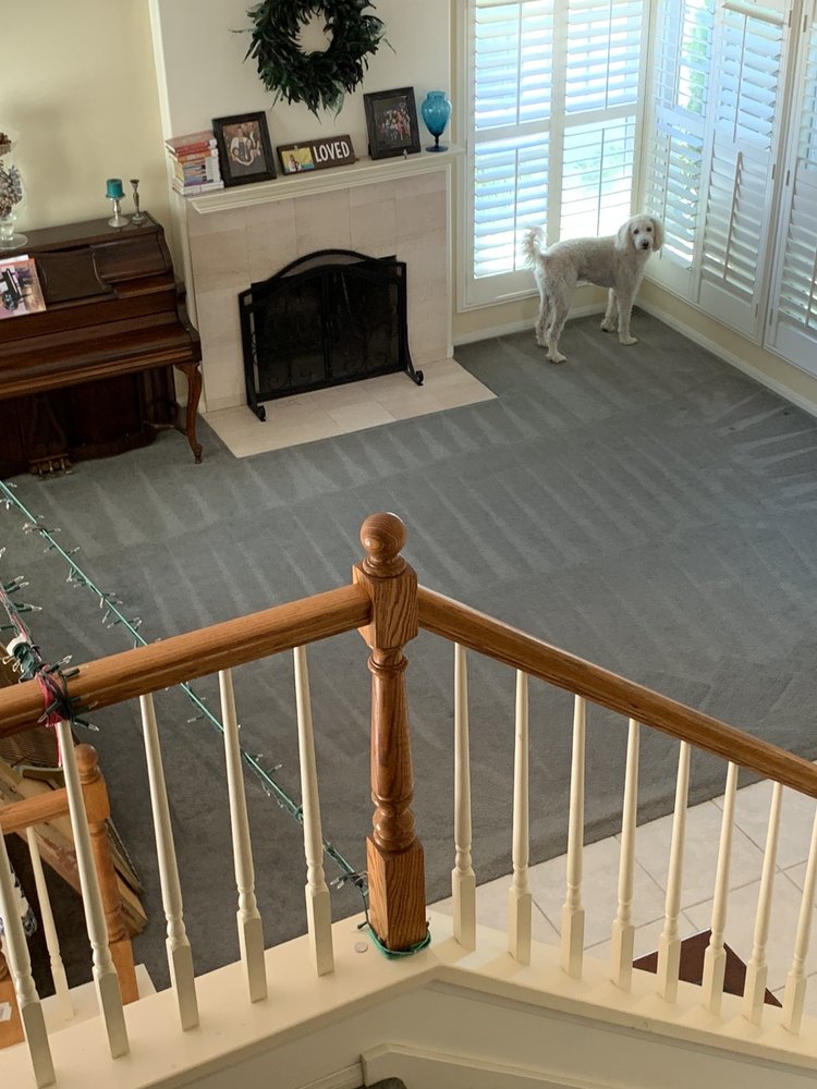 Photo of Brady's Carpet Care