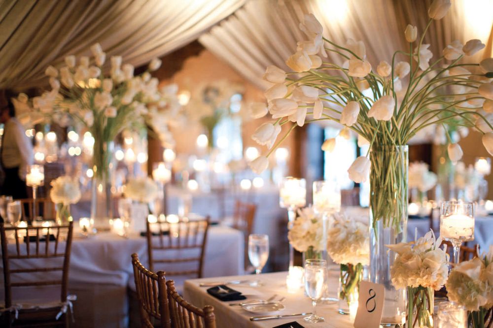 Photo of Designs by Pierre
