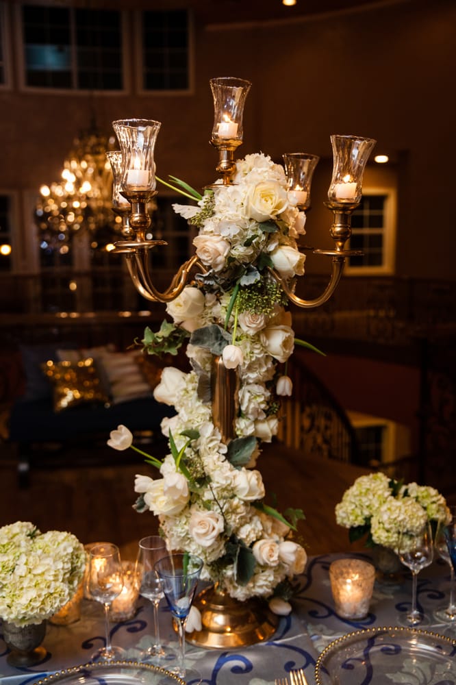 Photo of Johanna Terry Events