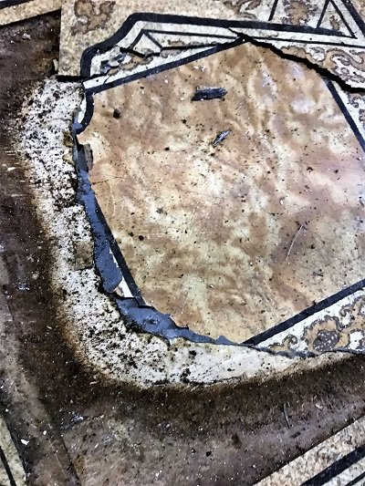 Photo of Flood Cleanup