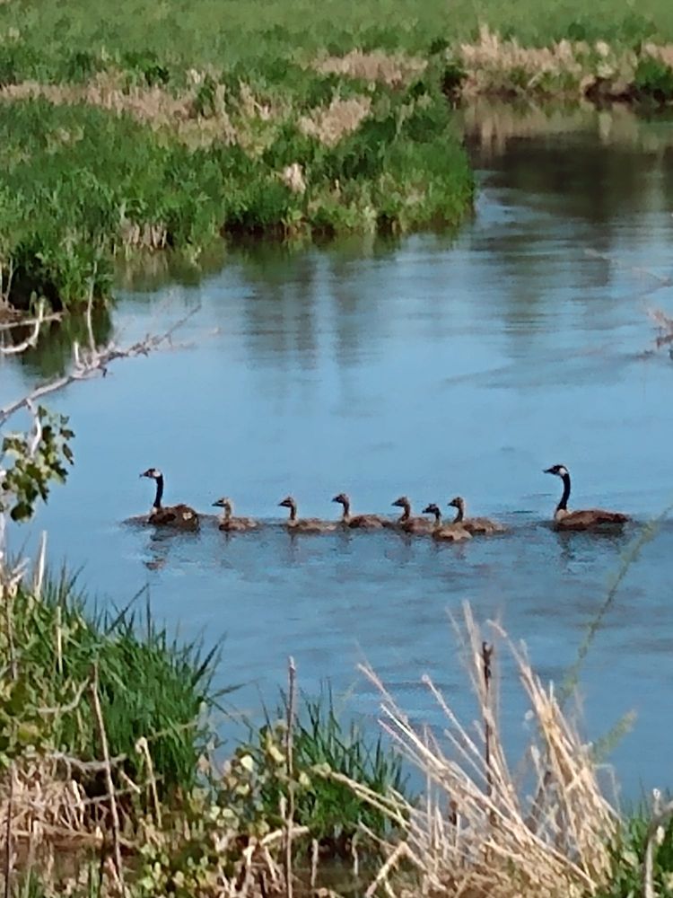 Photo of Swaner Preserve & EcoCenter