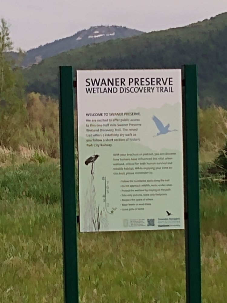 Photo of Swaner Preserve & EcoCenter