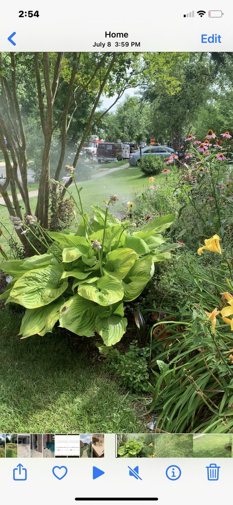 Photo of Carlton's Landscaping