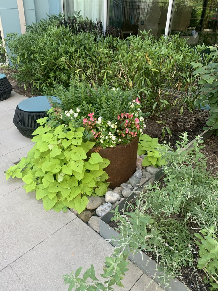 Photo of Carlton's Landscaping