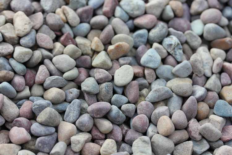 Photo of Evergreen Supply
