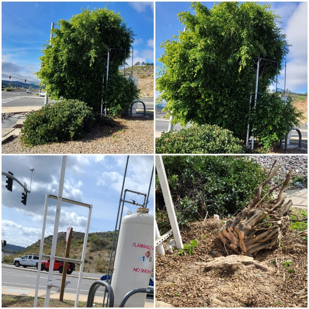 Photo of New Valley Landscaping Services