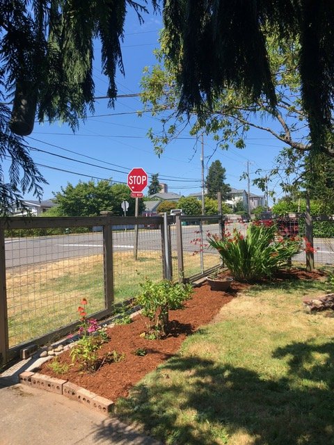 Photo of Lito's Quality Garden