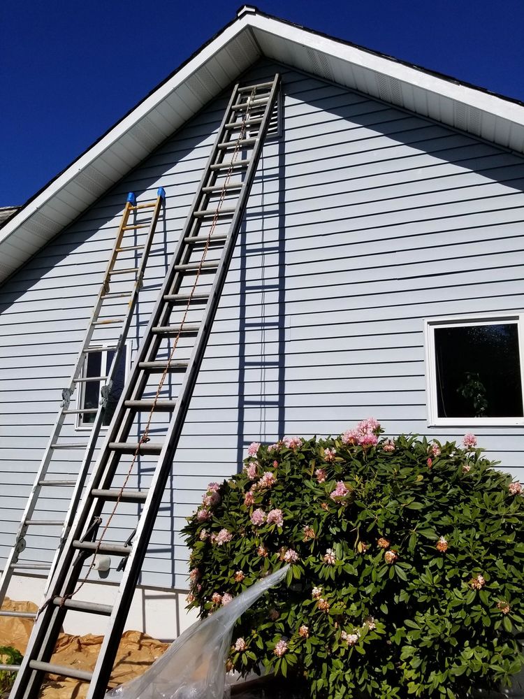Photo of Safe Heaven Janitorial and Maintenance Services