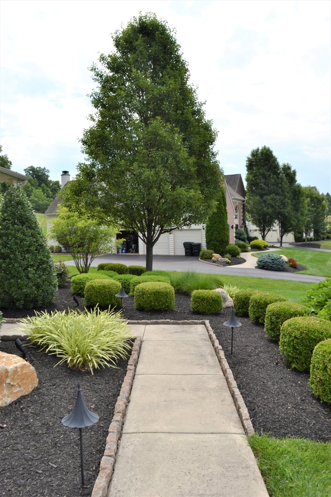 Photo of Blue Tree Landscaping