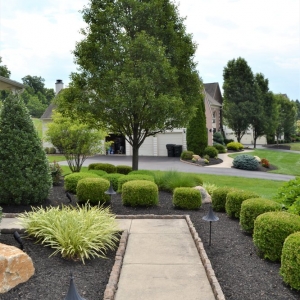 Schwenksville Blue Tree Landscaping