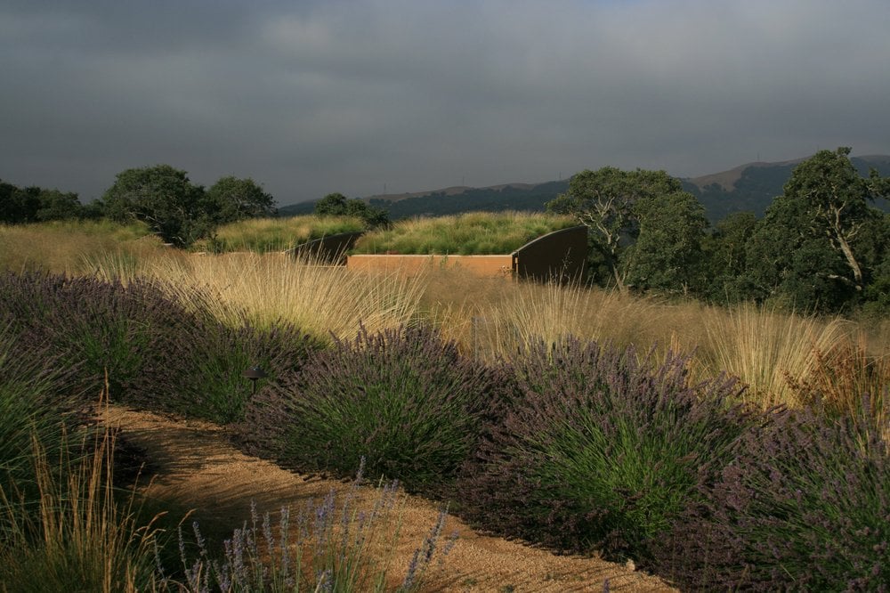 Photo of Mozaic Landscapes