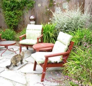 Photo of All Things Green Landscape Services
