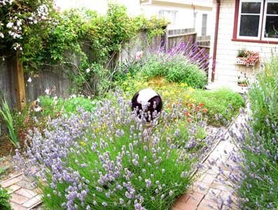 Photo of All Things Green Landscape Services