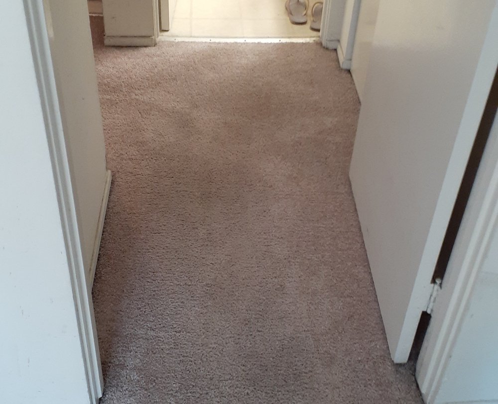 Photo of Sunnyvale Carpet Care