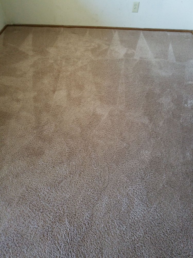 Photo of Sunnyvale Carpet Care