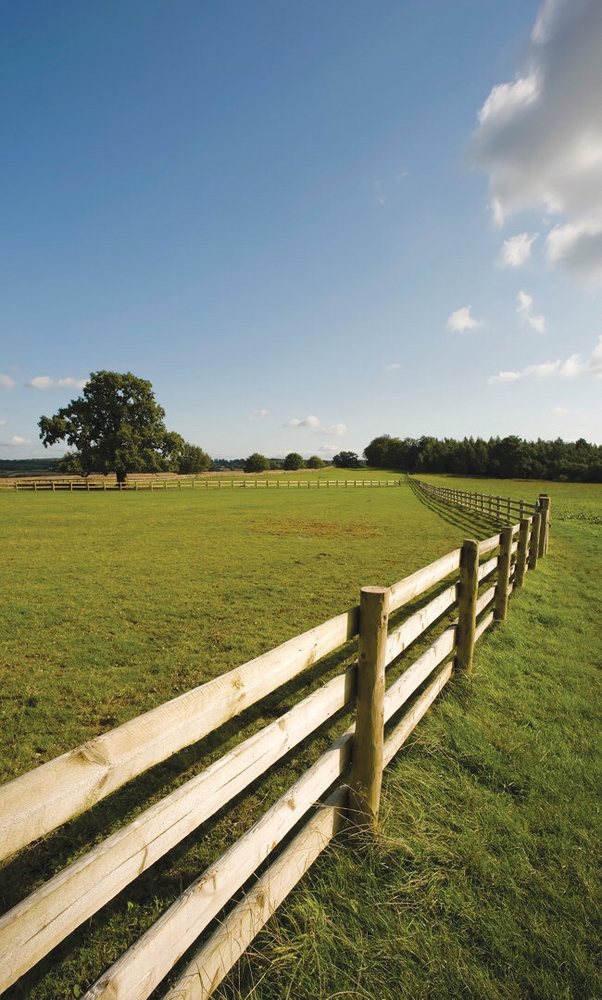 Photo of Titan Fencing Solutions