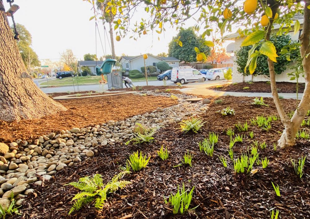 Photo of Smart Yards - A Sustainable Landscaping Cooperative