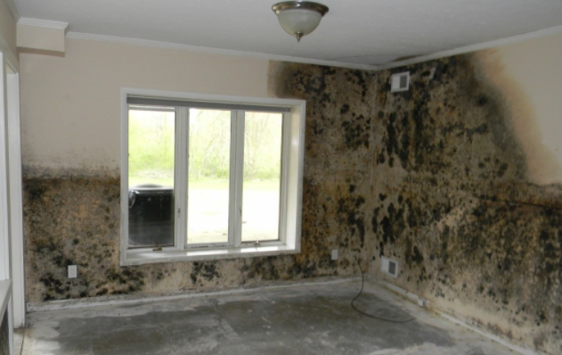 Photo of Fix My Home