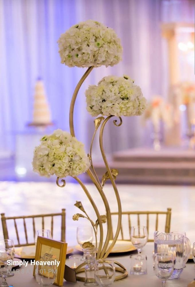 Photo of La Muse Events