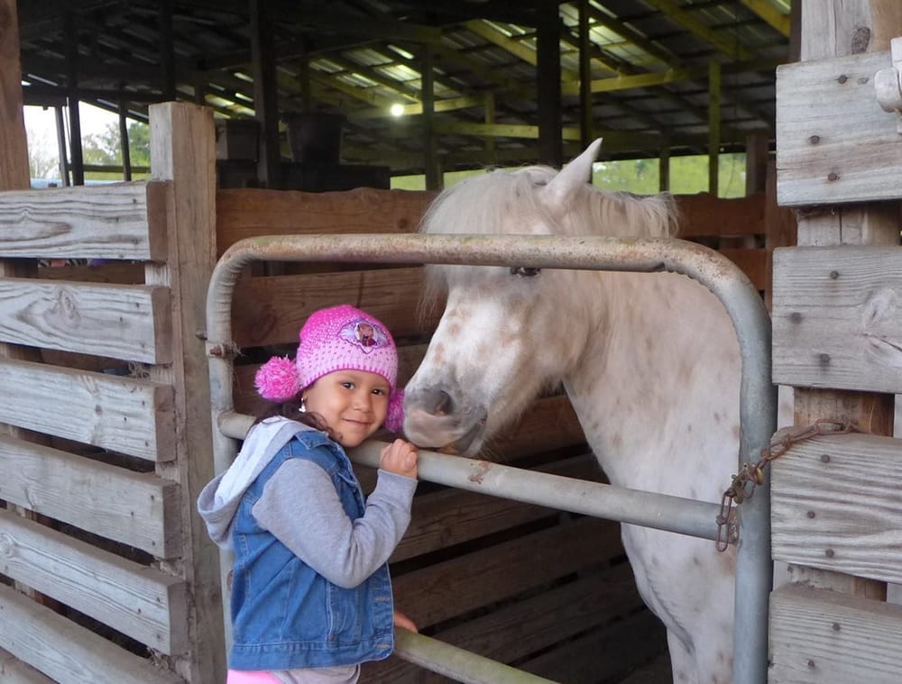 Photo of Party Animals Pony Rides