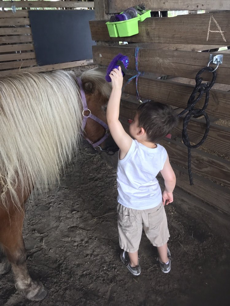 Photo of Party Animals Pony Rides