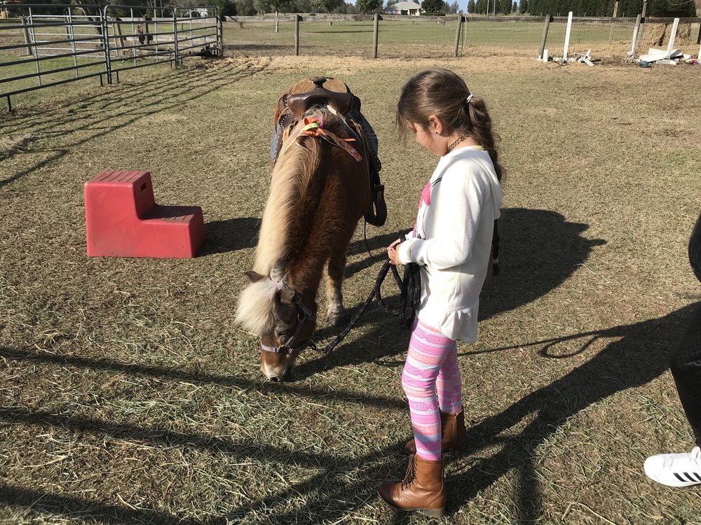 Photo of Party Animals Pony Rides