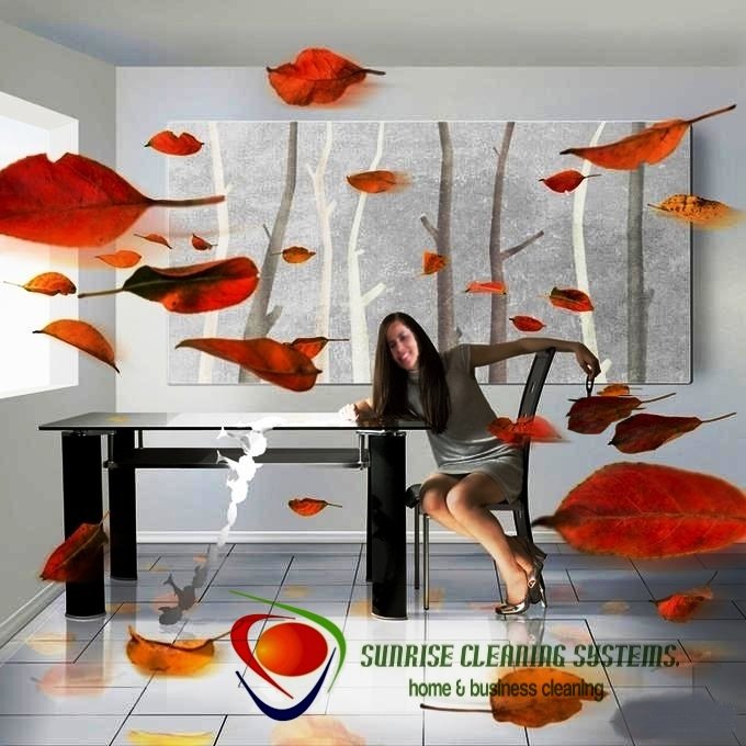 Photo of Sunrise Cleaning Systems