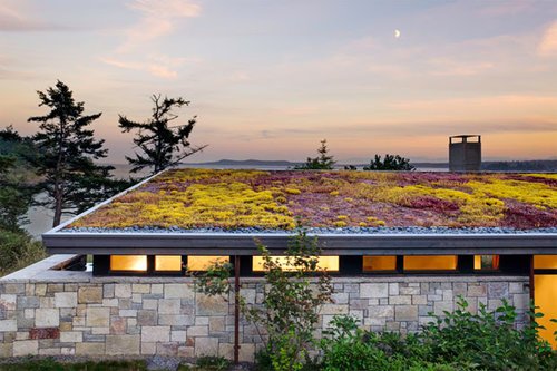 Photo of Witch Hazel Designs and Education