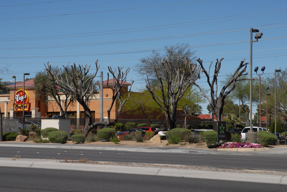 Photo of D&M Landscaping