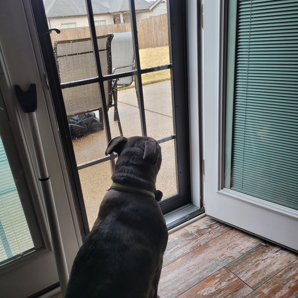 Photo of Maclin Security Doors