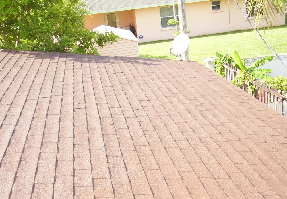Photo of The Green Roof Coating Specialists