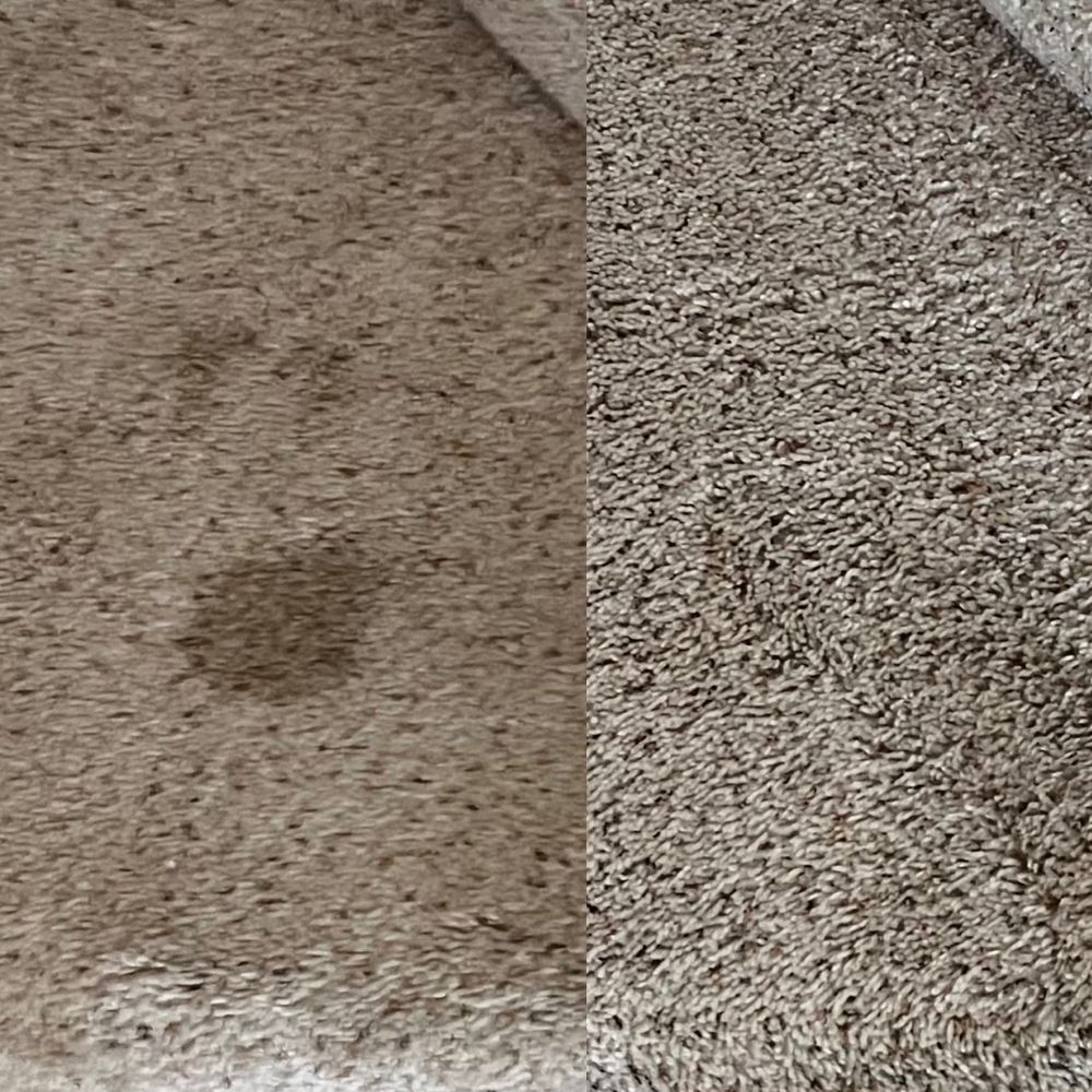 Photo of Aztec Carpet Cleaning