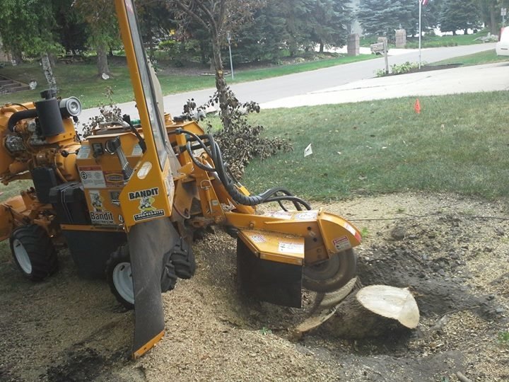 Photo of Golden Oak Tree Service