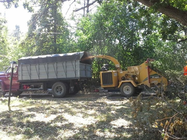 Photo of Golden Oak Tree Service