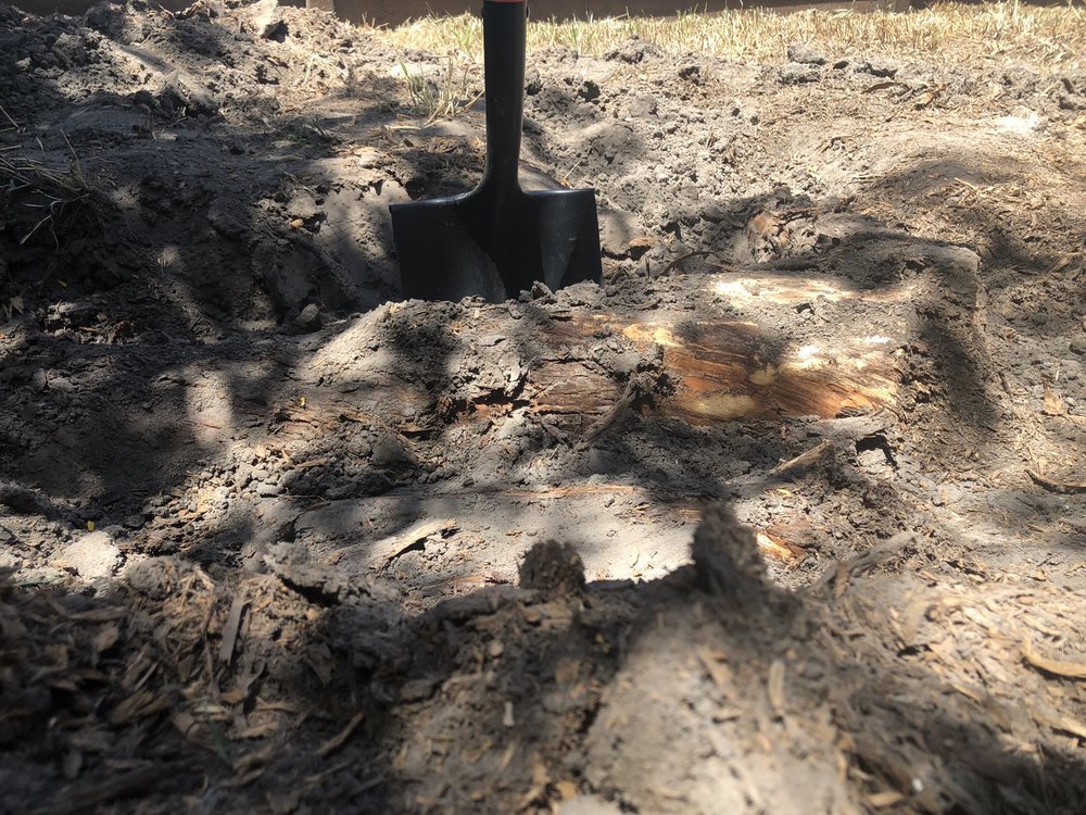 Photo of Christianson Tree Experts