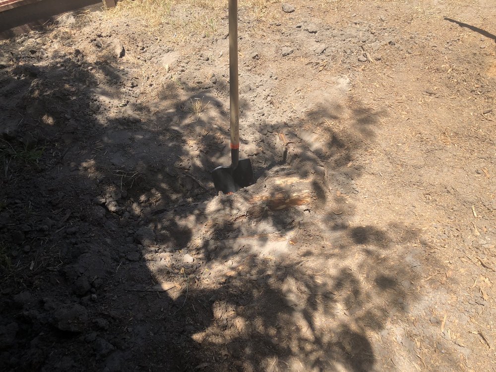 Photo of Christianson Tree Experts