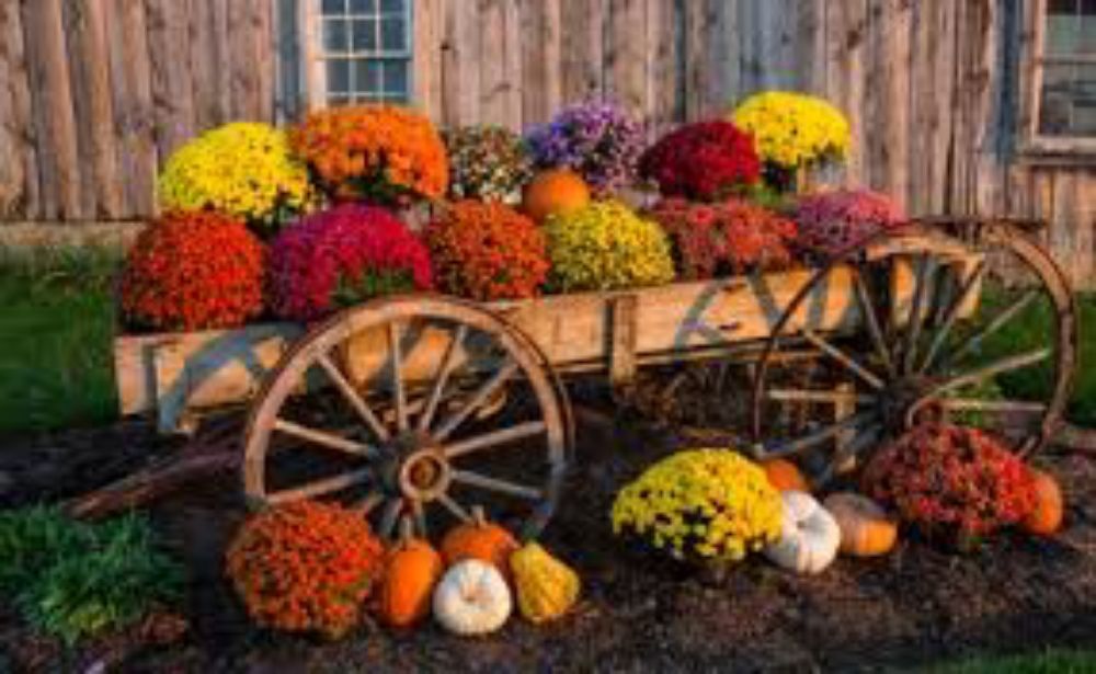 Photo of Garden Designs By R&L