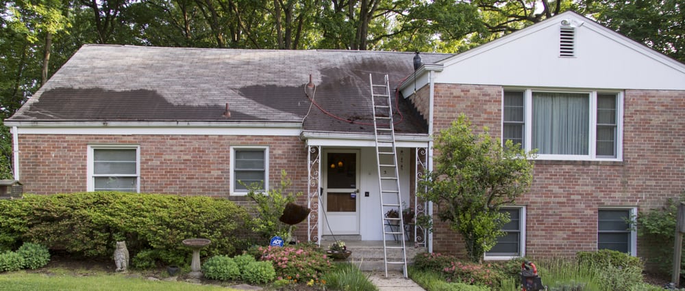 Photo of Exterior Care Service