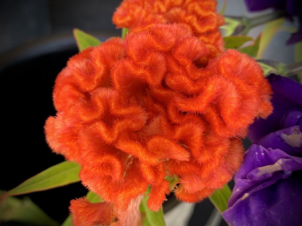 Photo of The Floral Craft