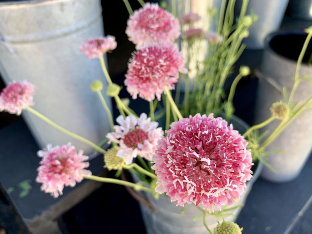 Photo of The Floral Craft